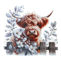 Highland Cow